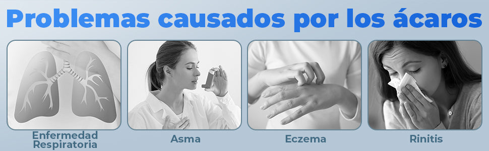 Aspiradora Portátil Colchón Anti-acaros