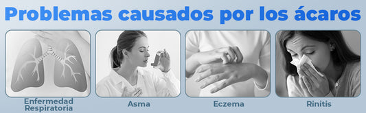 Aspiradora Portátil Colchón Anti-acaros