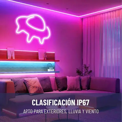 Tira De Luz Flexible Led Neón Color